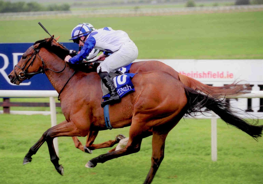 Azurite Curragh Mon 5th May 2014